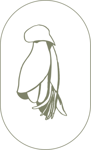 Manaaki Tangata